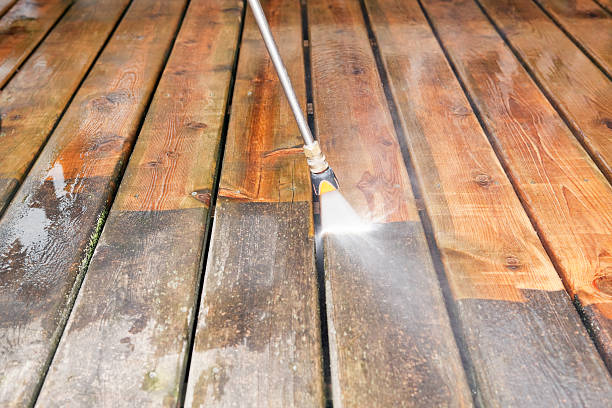 Best Gutter Cleaning  in Brownlee Park, MI